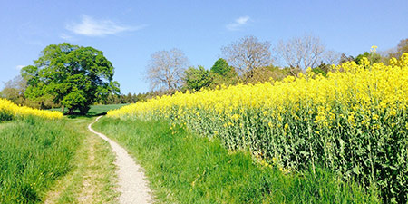 Pfingstferien 2022 und 2023 Pfingstferien 2022 und 2023