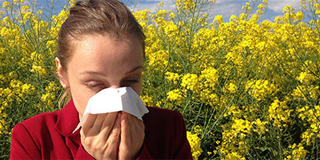 Allergische Rhinitis