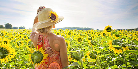 Sommeranfang / Sommersonnenwende