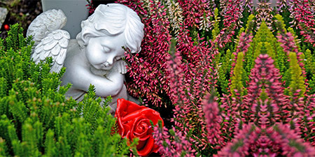 Totensonntag Totensonntag